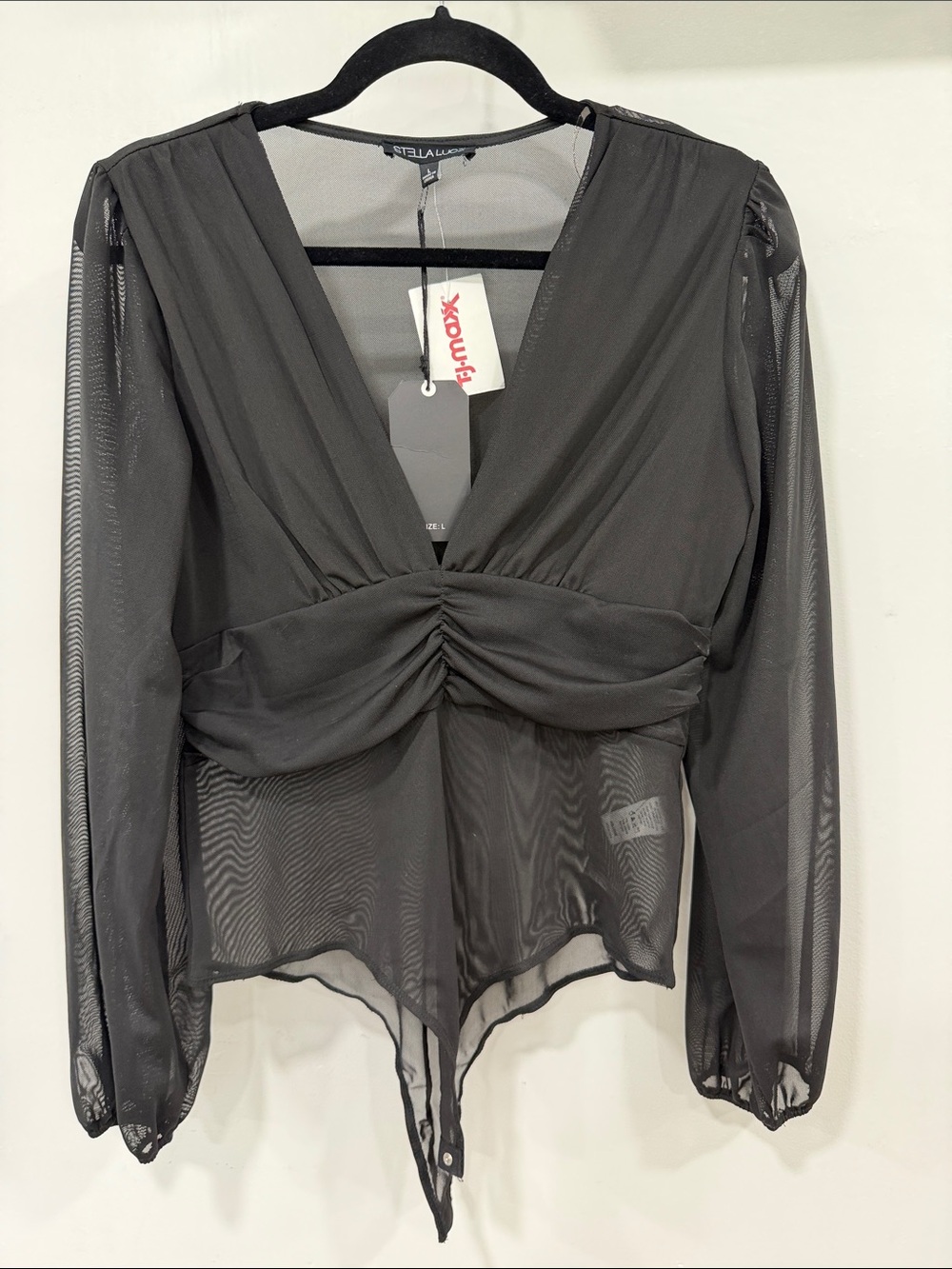 Stella Luce Black Sheer V-Neck Ruched Front Blouse